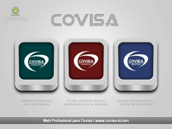 Asesoría Covisa