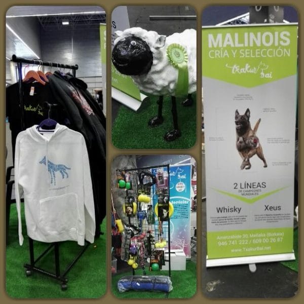 Txakurbai 14 Txakurbai