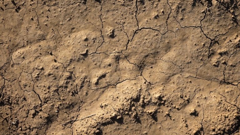 El niño que vendía tierra